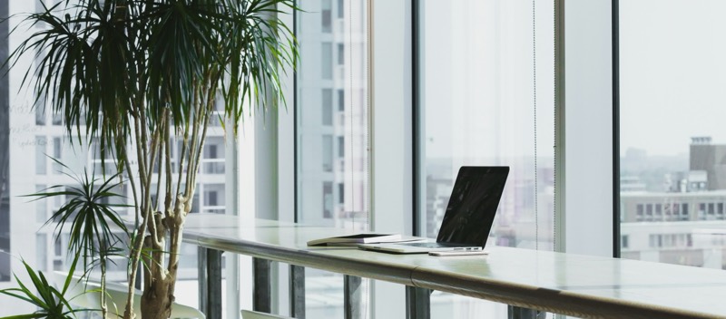 Un ordinateur portable posé sur une table haute devant la baie vitrée d'un bureau lumineux, à côté d'un dracaena.