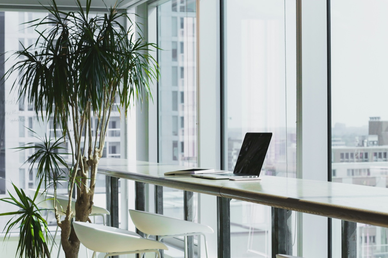 Un ordinateur portable posé sur une table haute devant la baie vitrée d'un bureau lumineux, à côté d'un dracaena.